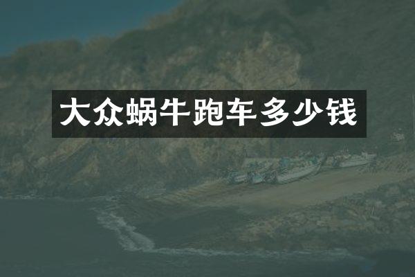 大众蜗牛跑车多少钱