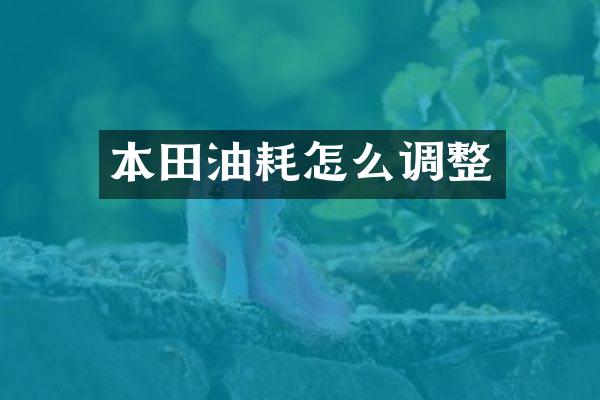 本田油耗怎么调整