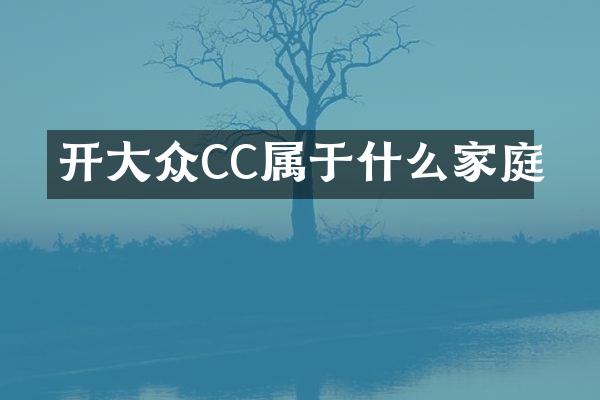 开大众CC属于什么家庭