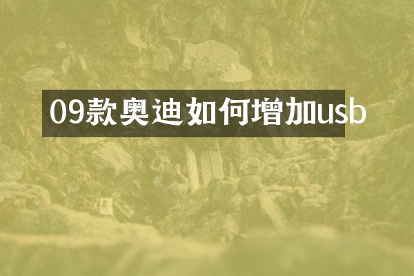 09款奥迪如何增加usb