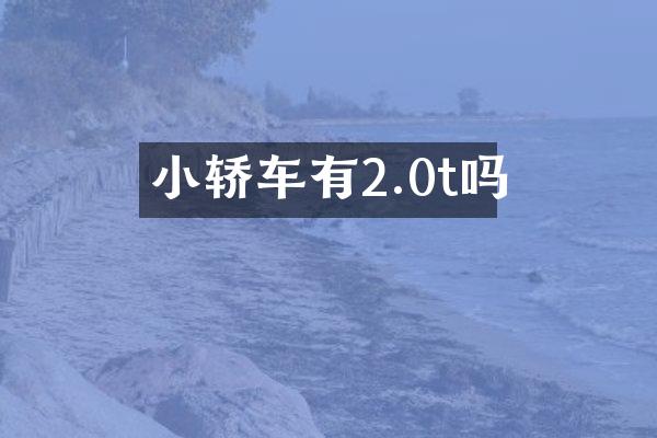 小轿车有2.0t吗