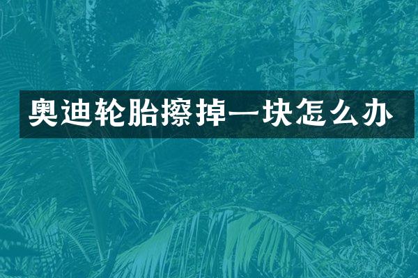 奥迪轮胎擦掉一块怎么办