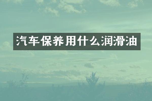汽车保养用什么润滑油