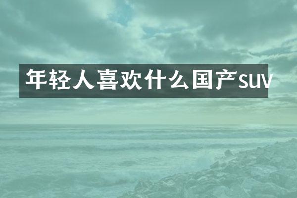 年轻人喜欢什么国产suv