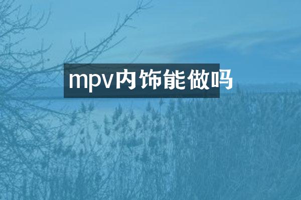 mpv内饰能做吗