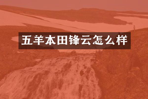 五羊本田锋云怎么样