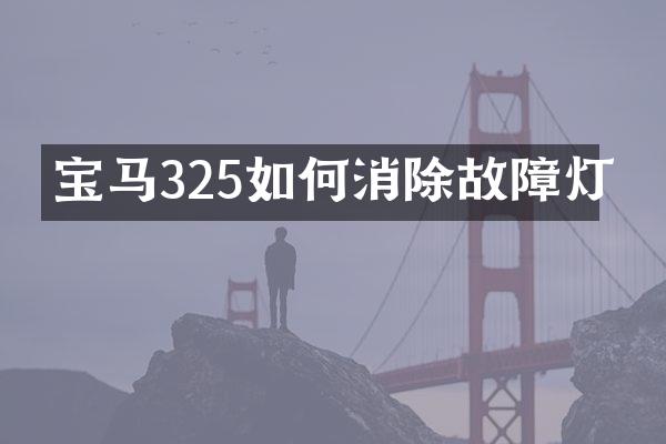 宝马325如何消除故障灯