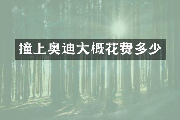 撞上奥迪大概花费多少