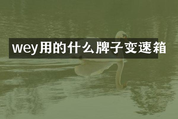 wey用的什么牌子变速箱