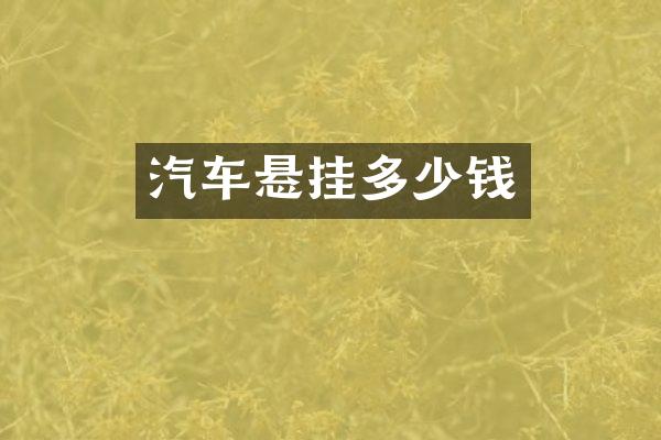 汽车悬挂多少钱