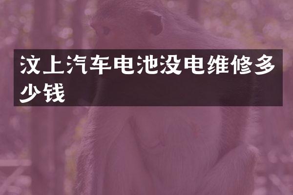 汶上汽车电池没电维修多少钱