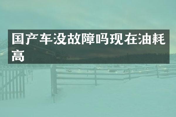 国产车没故障吗现在油耗高