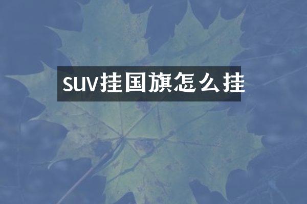 suv挂国旗怎么挂