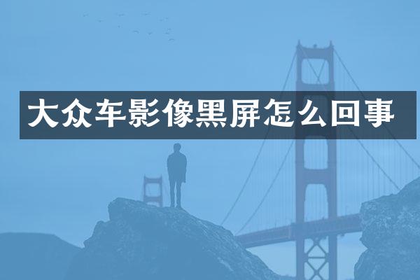 大众车影像黑屏怎么回事