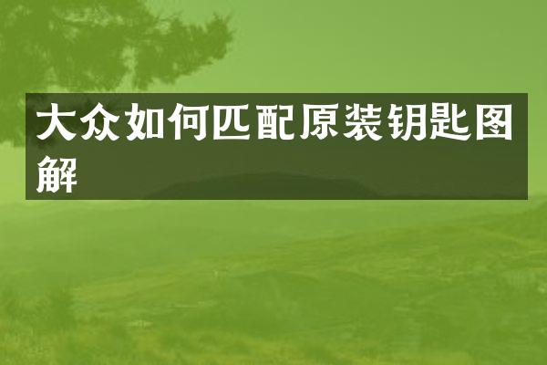 大众如何匹配原装钥匙图解