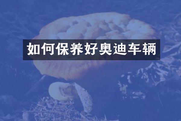 如何保养好奥迪车辆