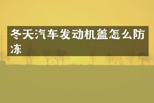 冬天汽车发动机盖怎么防冻