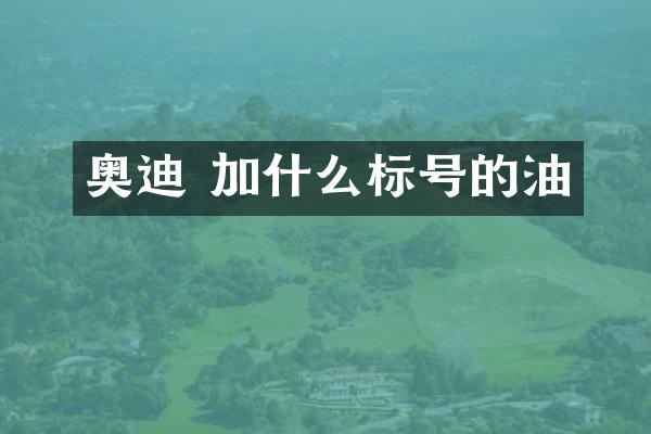 奥迪 加什么标号的油