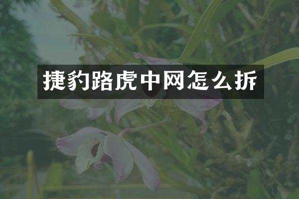 捷豹路虎中网怎么拆