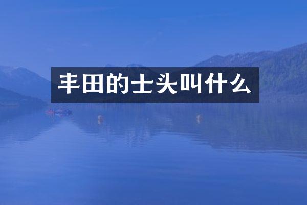 丰田的士头叫什么