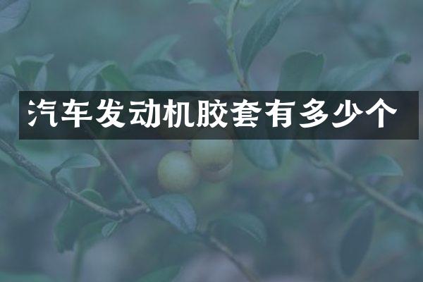 汽车发动机胶套有多少个
