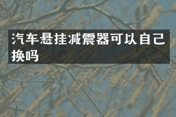 汽车悬挂减震器可以自己换吗