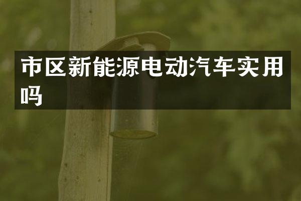 市区新能源电动汽车实用吗