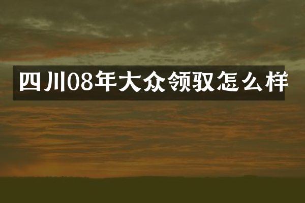 四川08年大众领驭怎么样