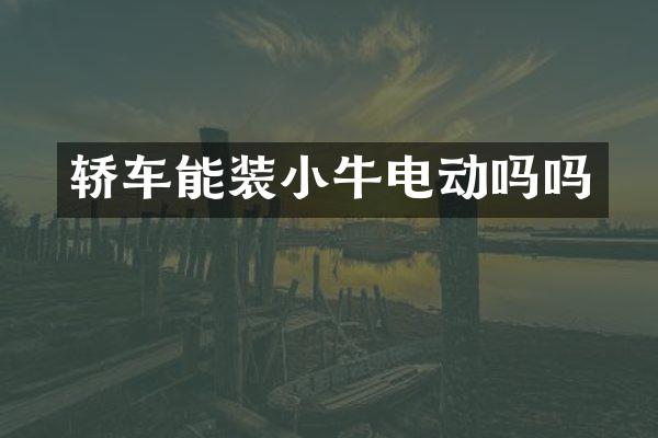 轿车能装小牛电动吗吗