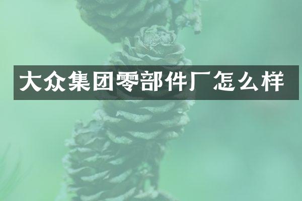 大众集团零部件厂怎么样