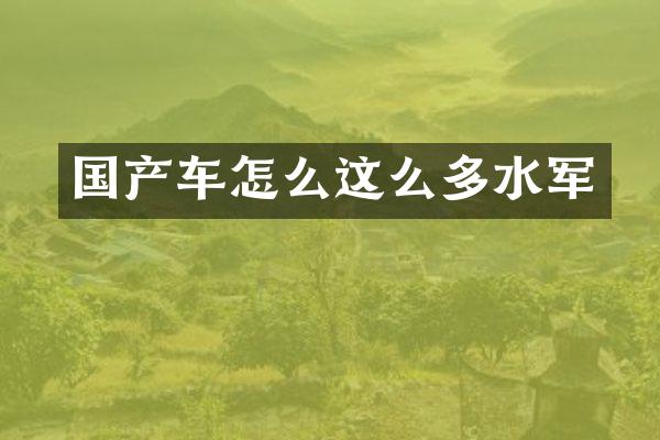 国产车怎么这么多水军