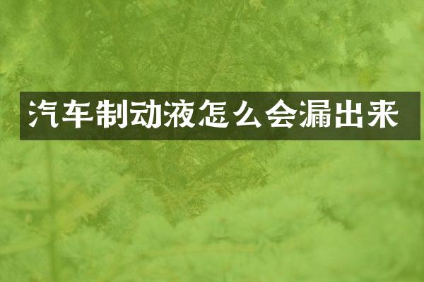 汽车制动液怎么会漏出来