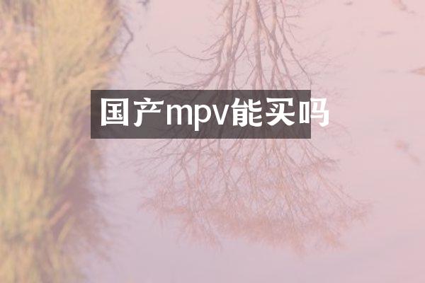 国产mpv能买吗