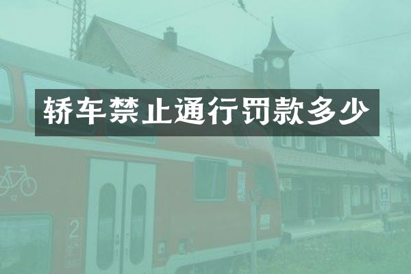 轿车禁止通行罚款多少