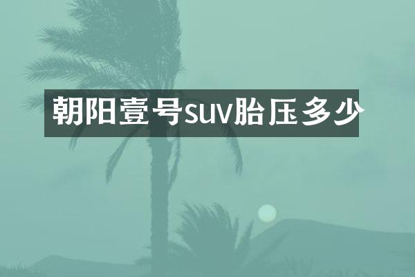 朝阳壹号suv胎压多少