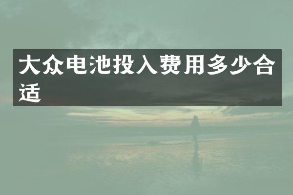 大众电池投入费用多少合适
