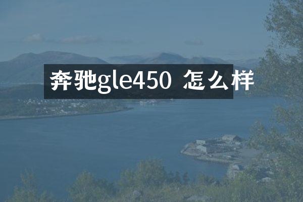 奔驰gle450 怎么样