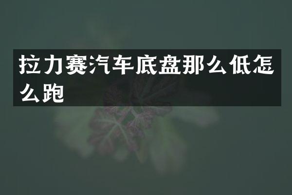 拉力赛汽车底盘那么低怎么跑