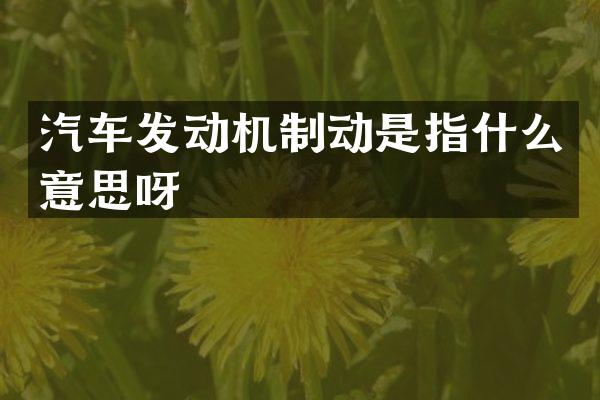 汽车发动机制动是指什么意思呀