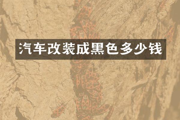 汽车改装成黑色多少钱