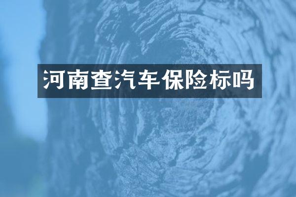 河南查汽车保险标吗