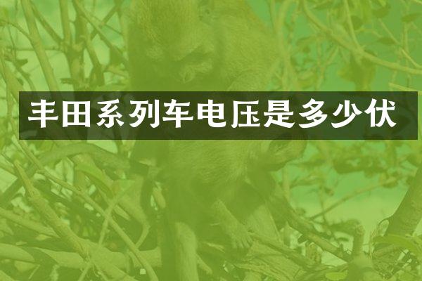 丰田系列车电压是多少伏