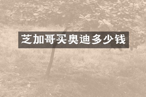 芝加哥买奥迪多少钱