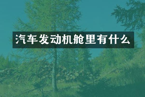 汽车发动机舱里有什么