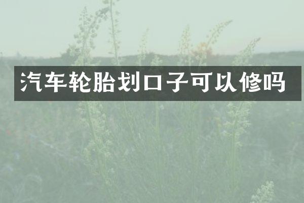 汽车轮胎划口子可以修吗