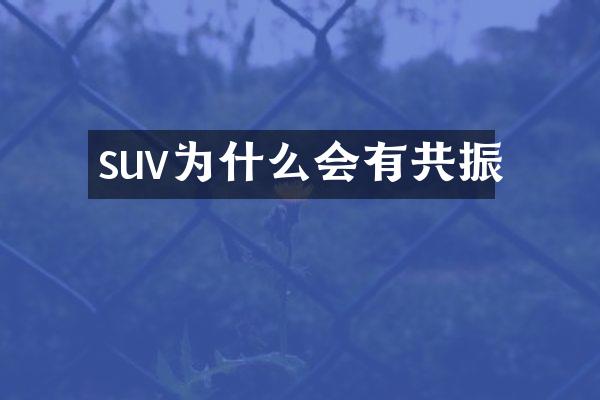 suv为什么会有共振