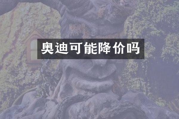奥迪可能降价吗