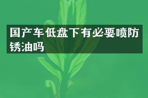 国产车低盘下有必要喷防锈油吗