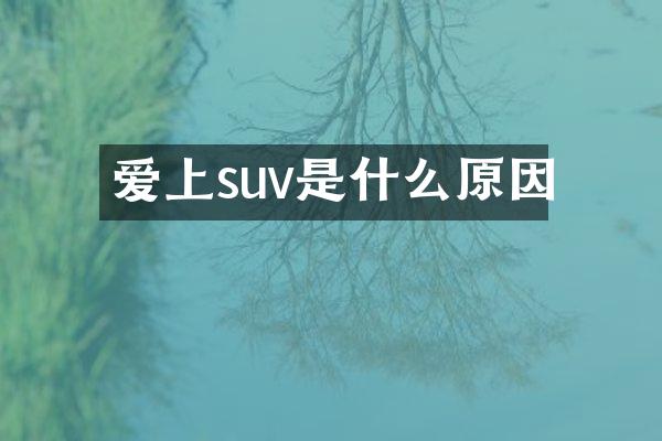 爱上suv是什么原因
