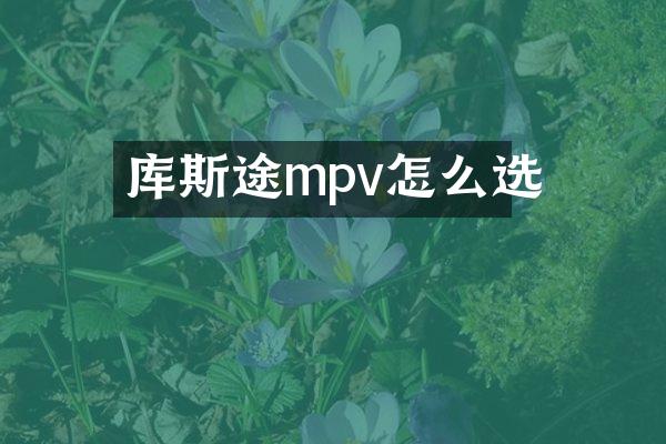 库斯途mpv怎么选